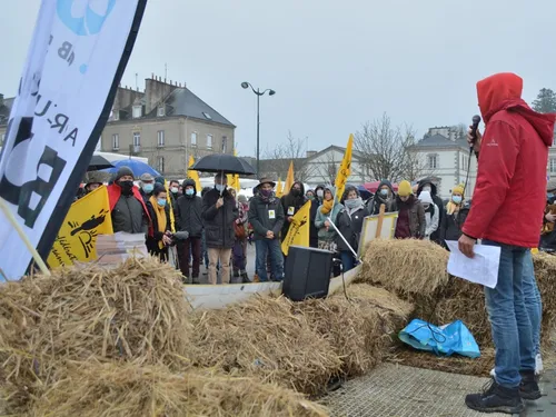Grippe aviaire : les éleveurs contre le confinement de leur...